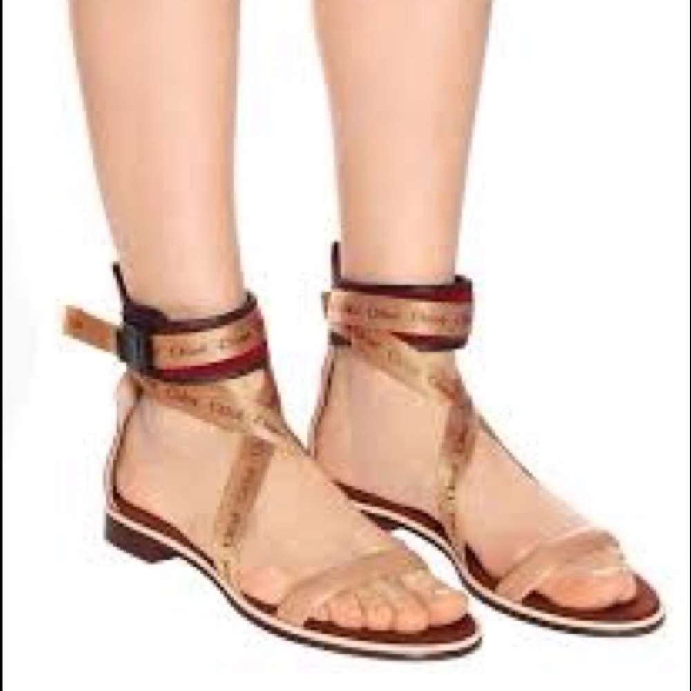 Chloe Veronica Logo Strap Sandal Pink 41
